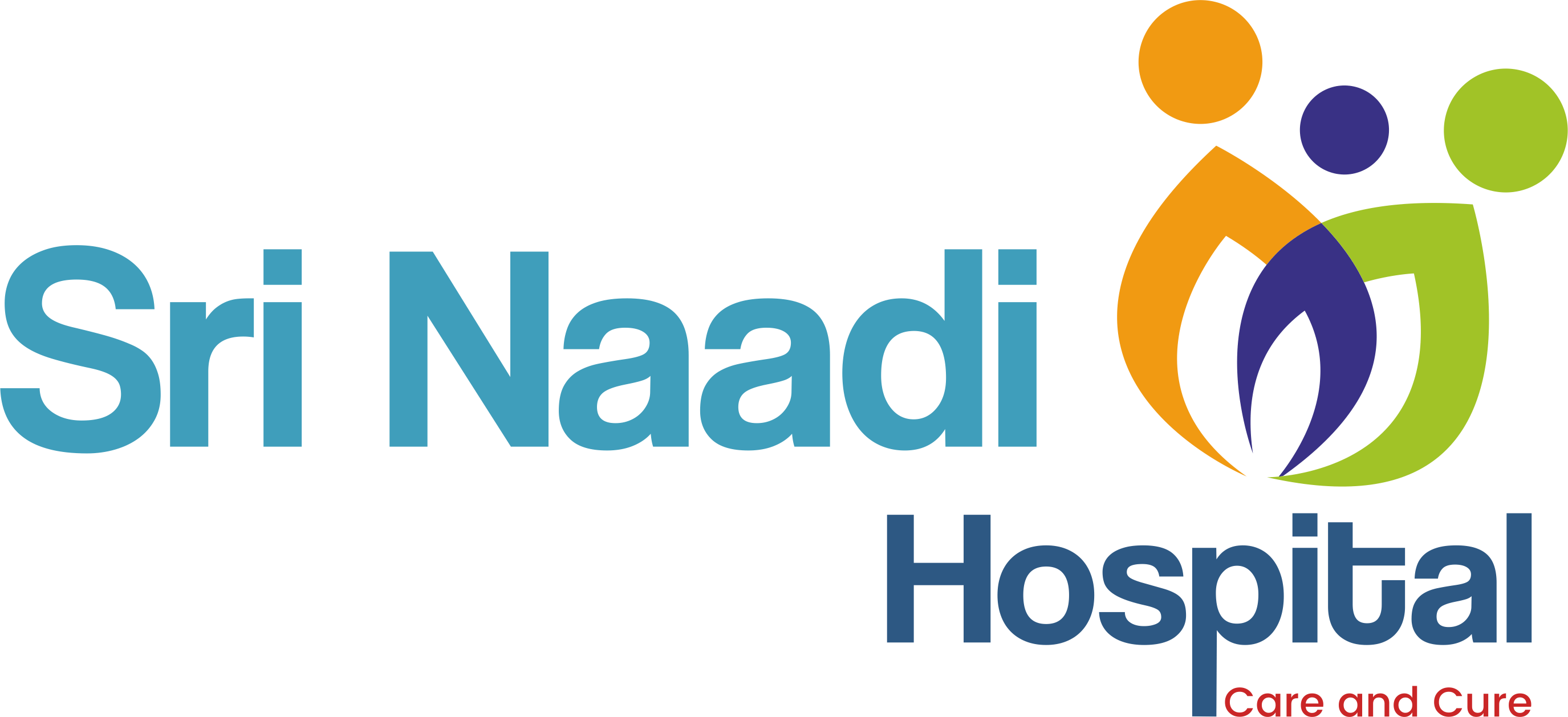 Sri Naadi Hospital